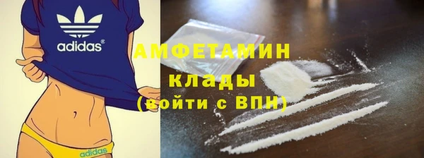 спайс Баксан