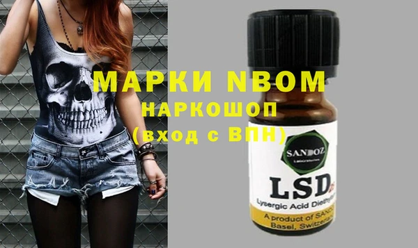 спайс Баксан