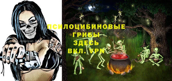 МДПВ Аркадак