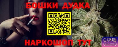 гидра Кинель