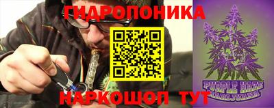 гидра Кинель