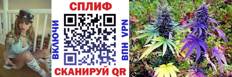 дарнет шоп  Кубинка  Каннабис сатива 